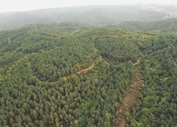 Bursa, Çanakkale ve Kütahya’da ormanlık alanlara girişler yasaklandı!