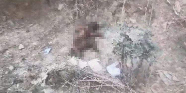 Bursa’da vahşet: Ayaklarını kestikleri yavru köpeği yakıp, yol kenarına attılar