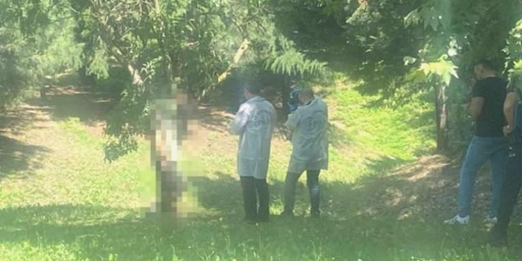 D100 Karayolu üzerinde kuşkulu vefat: Ağaca asılı halde bulundu