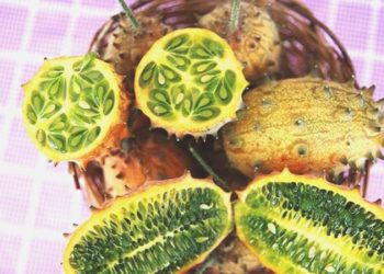 Deneme maksatlı ekti, adedini 30 liradan satıyor: Boynuzlu kavun kiwano