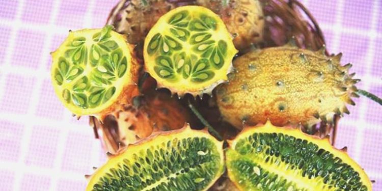 Deneme maksatlı ekti, adedini 30 liradan satıyor: Boynuzlu kavun kiwano