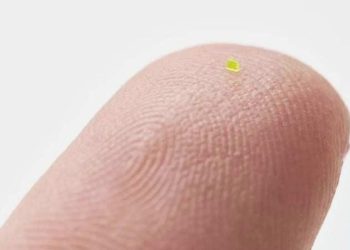 Deniz tuzu adedinden küçük çantanın fiyatı da tuzlu çıktı: Alıcının görebilmesi için mikroskopla birlikte satıldı