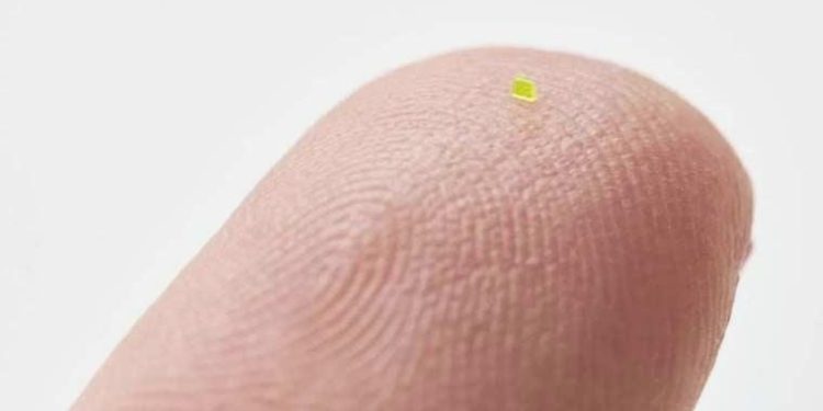 Deniz tuzu adedinden küçük çantanın fiyatı da tuzlu çıktı: Alıcının görebilmesi için mikroskopla birlikte satıldı