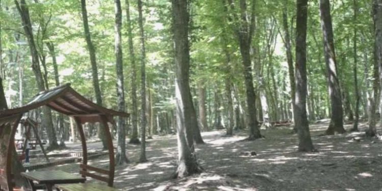 Denizli’de ormanlara girişler 3 ay yasaklandı!