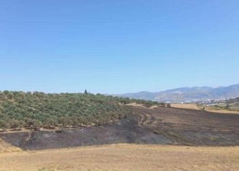 Dikmece köyünde 3 günde 2. yangın: Bu yaşananlar tesadüf değil