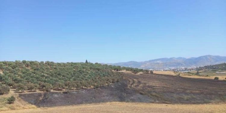 Dikmece köyünde 3 günde 2. yangın: Bu yaşananlar tesadüf değil