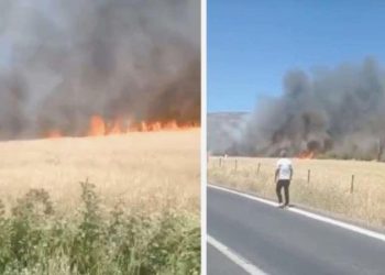 Diyarbakır’da ekili yerde yangın: 6 saatte söndürüldü, 150 dönüm buğday kül oldu