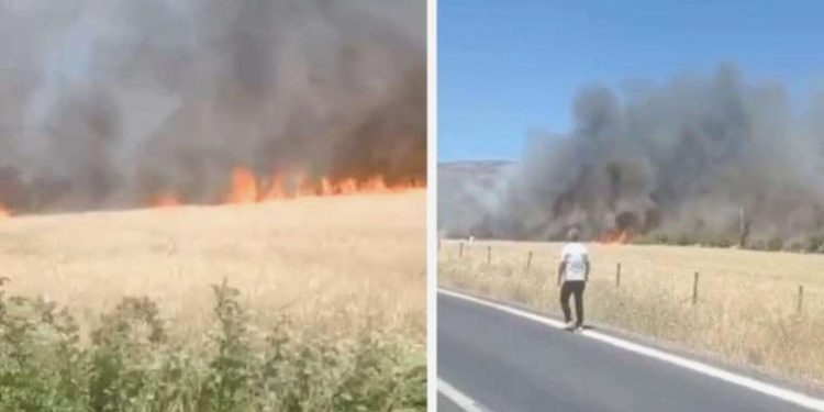 Diyarbakır’da ekili yerde yangın: 6 saatte söndürüldü, 150 dönüm buğday kül oldu