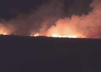 Düşen yıldırım buğday tarlasını yaktı