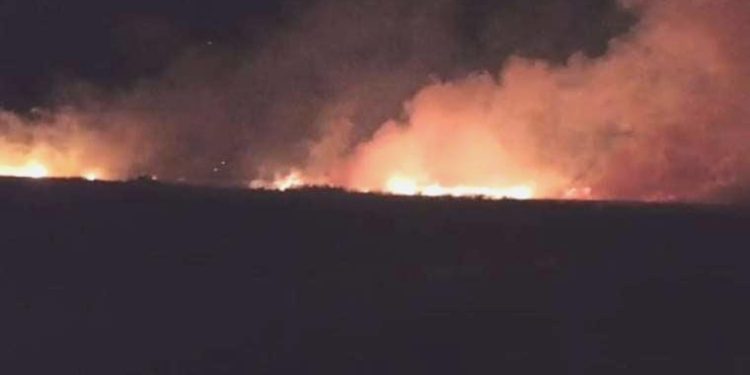 Düşen yıldırım buğday tarlasını yaktı