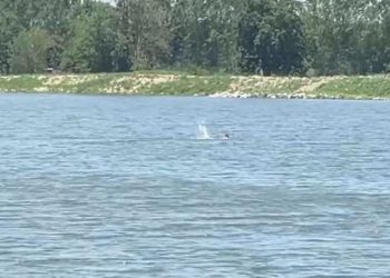 Edirne’de bir kişi Meriç Irmağı’nı yüzerek geçti