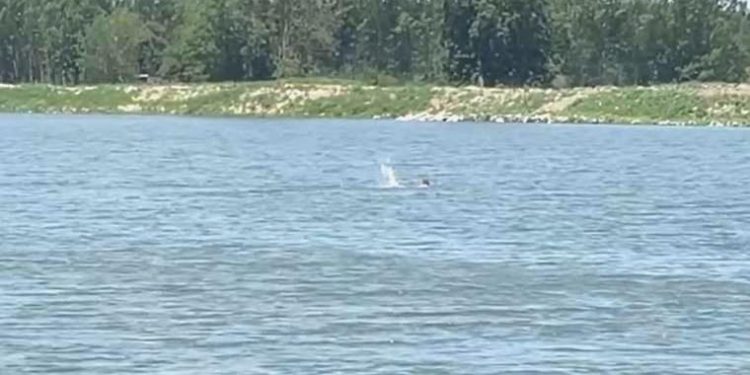 Edirne’de bir kişi Meriç Irmağı’nı yüzerek geçti