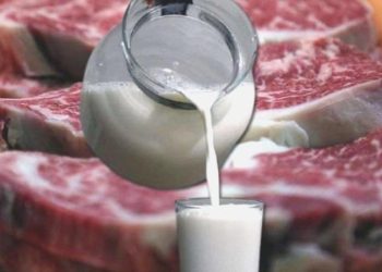 Ete, yoğurda ulaşmak hayal oldu… Süt fiyatlarında artış bekleniyor