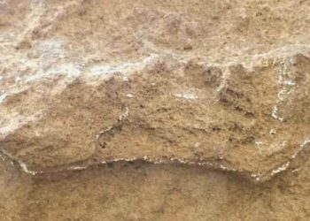 Güney Afrika’da bulundu: ‘Bilinen en eski ayak izi’ tarihi baştan yazacak…