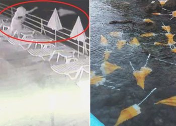 Havluyla yüzünü gizleyip dans etti, akabinde plaj şemsiyelerini denize attı