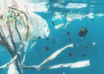 Her hafta bir kredi kartı boyutunda plastiği içimize çekiyoruz