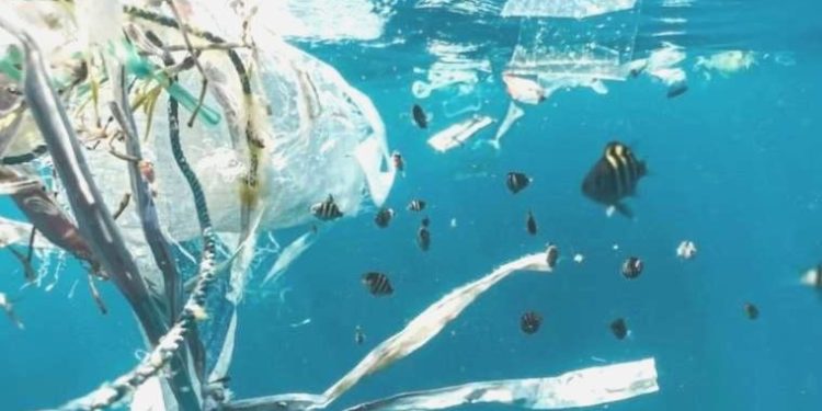 Her hafta bir kredi kartı boyutunda plastiği içimize çekiyoruz