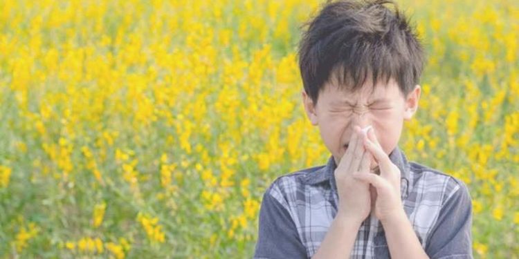 İklim değişikliği alerjinin şiddetini artırıyor