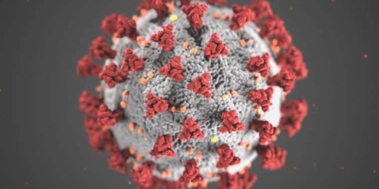 İspanya hükümeti, Covid-19 salgınının ‘bittiğini’ ilan etti