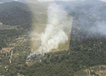 İzmir Bergama’da orman yangını!