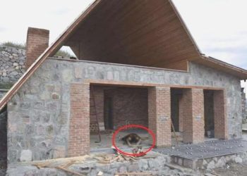 İzmir’de dehşet: Ateş ederek öldürdü, cesedini ateşe verdi