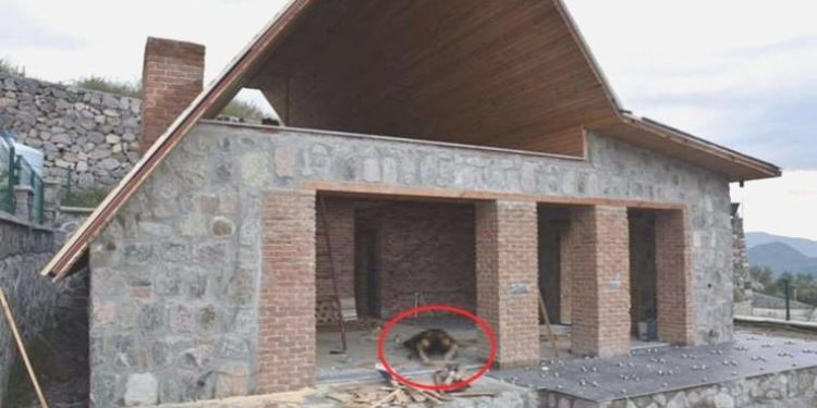 İzmir’de dehşet: Ateş ederek öldürdü, cesedini ateşe verdi