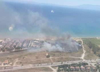 İzmir’de sazlık alanda yangın: Denetim altına alındı!