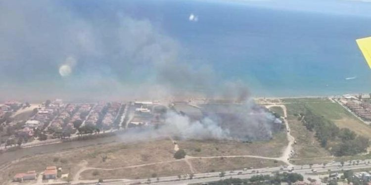 İzmir’de sazlık alanda yangın: Denetim altına alındı!