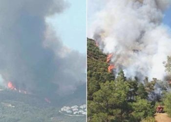 Kabus yine başladı: Marmaris ve Adana’da orman yangını