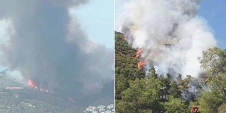Kabus yine başladı: Marmaris ve Adana’da orman yangını