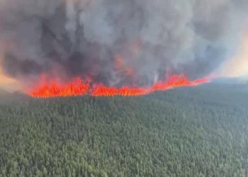 Kanada’daki orman yangınlarında milyonlarca hektar alan kül oldu