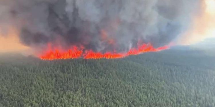 Kanada’daki orman yangınlarında milyonlarca hektar alan kül oldu