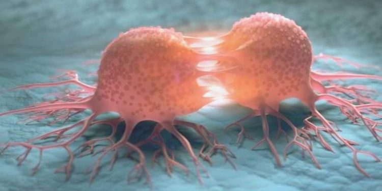 Kanser hücrelerinin kendilerini yok etmesini sağlayacak yeni metot