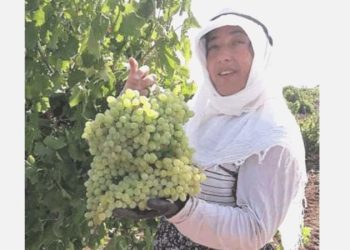 Karaciğer nakli yapılan bayan meskeninde meyyit bulundu