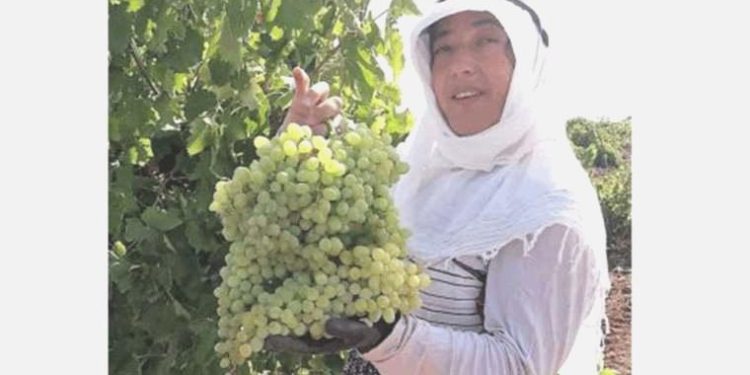 Karaciğer nakli yapılan bayan meskeninde meyyit bulundu