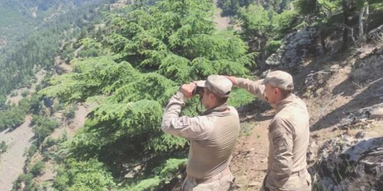 Kaybolan Alzheimer hastasını, 60 kişilik jandarma takımı arıyor