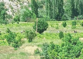 Kayıp şahsın cesedi 13 gün sonra bulundu