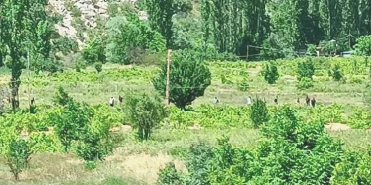 Kayıp şahsın cesedi 13 gün sonra bulundu