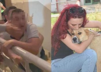 Köpeğe ‘tekme’ argümanı ortalığı karıştırdı: İki komşu birbirine girdi