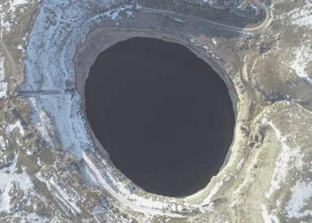 Kritik obruk uyarısı: ‘Sayıları tehlikeli derecede artıyor’