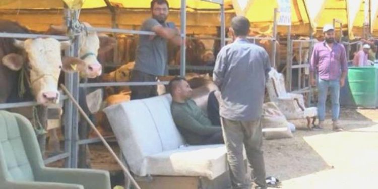 Kurbanlıklar ellerinde kaldı: Alıcılar ‘son gün’ indirimini bekliyor