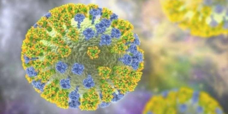 Kuş gribinin insanlara bulaşmasını engelleyen geni buldu