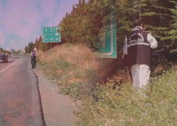 Makûs kokuyla ortaya çıktı! İzmit’te gizemli olay: Yol kenarında çürümüş ceset…