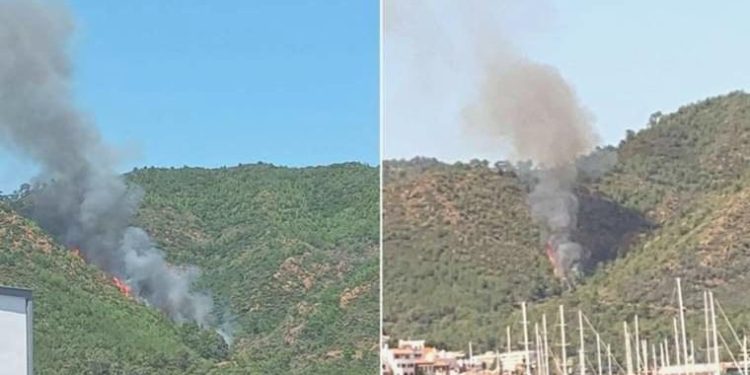 Marmaris’te orman yangını!
