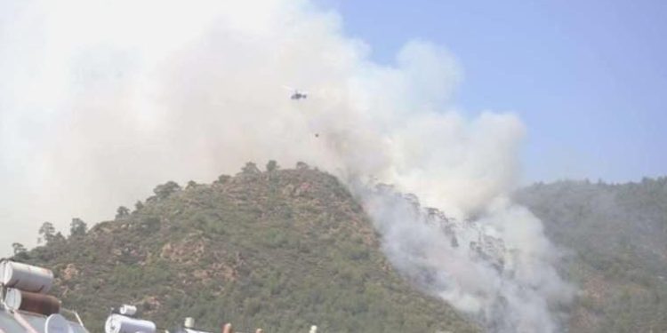 Marmaris’te orman yangını: Bir cansız vücut bulundu!