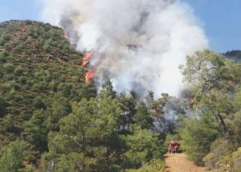 Marmaris’teki orman yangınının bir cansız vücudun yakılması nedeniyle çıktığı belirlendi