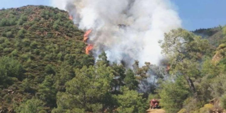 Marmaris’teki orman yangınının bir cansız vücudun yakılması nedeniyle çıktığı belirlendi