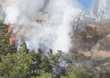 Marmaris’teki orman yangınının gerisinden cinayet çıkmıştı: Ön otopsi sonucu aşikâr oldu