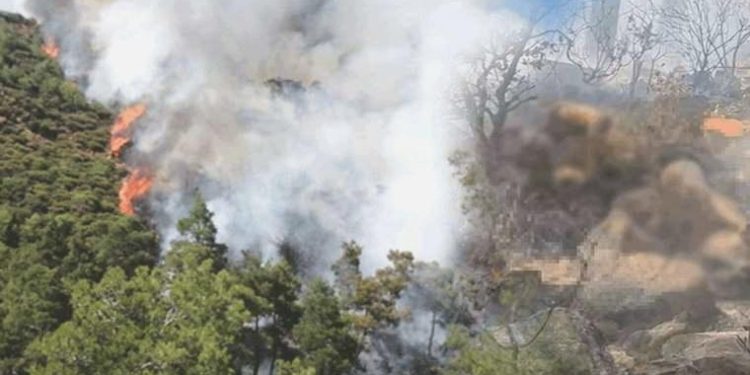 Marmaris’teki orman yangınının gerisinden cinayet çıkmıştı: Ön otopsi sonucu aşikâr oldu