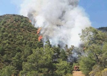 Marmaris’teki orman yangınının gerisinden cinayet çıktı: Skandal olayda yeni gelişme!